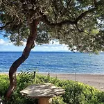 Villa Dadya 2 - With Private Pool - 750m Distance To The Datca