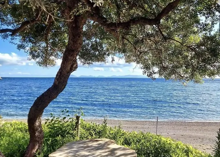 Villa Dadya 2 - With Private Pool - 750m Distance To The Datça